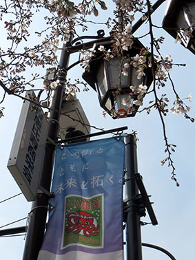 2015年、東京も開花宣言出ました！_f0165332_17045985.jpg