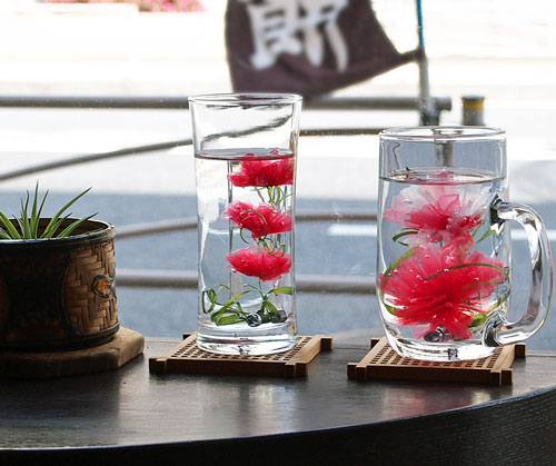 水中花復活プロジェクト 15 ワークショップもやります 水中花 復活プロジェクト 水中花復活プロジェクト 15 ワークショップもやります 水中花 復活プロジェクト