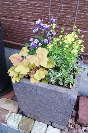 c0298740_21573323.jpg
