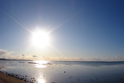 a0167341_913548.jpg