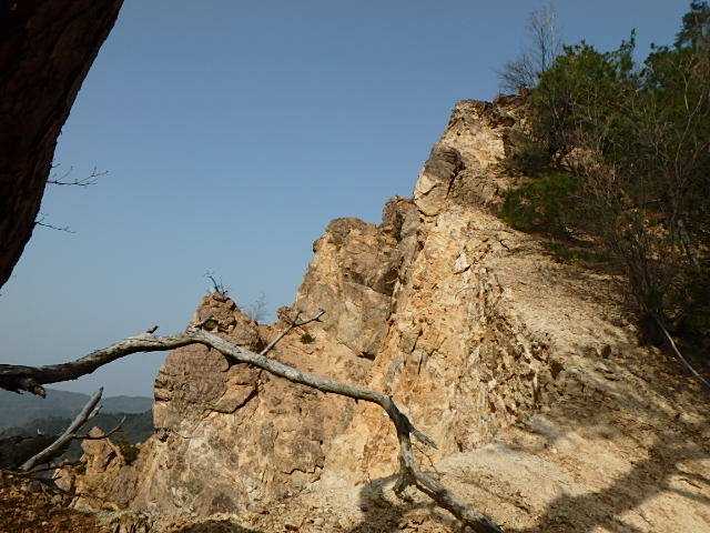 f0334143_2056585.jpg