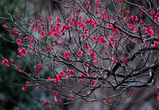 c0093046_8441413.gif