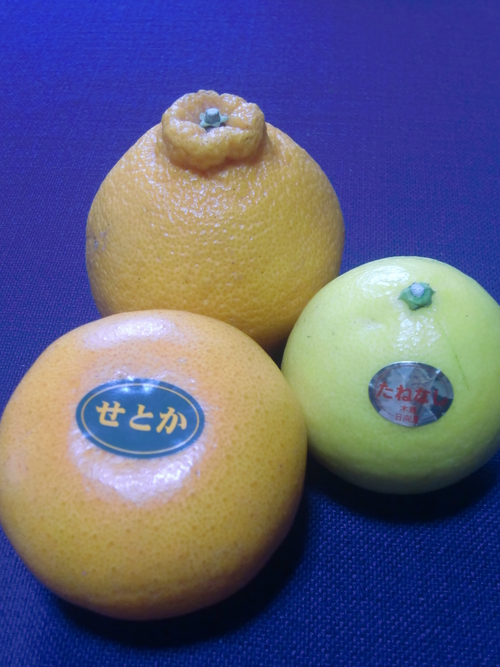 f0329849_2134197.jpg