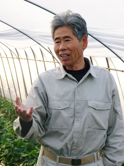 完熟紅ほっぺ 美味さを求めた完熟イチゴと安全を追求した減農薬へのこだわり_a0254656_19353575.jpg