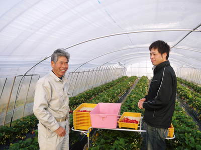 完熟紅ほっぺ 美味さを求めた完熟イチゴと安全を追求した減農薬へのこだわり_a0254656_19404717.jpg