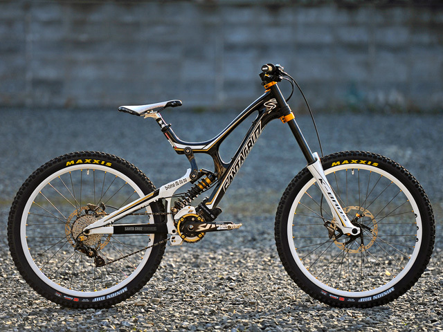 SANTACRUZ V-10(8.5) CARBON IV_b0049658_15584841.jpg