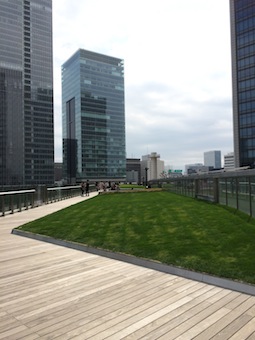 東京ランチとKITTEの屋上庭園_a0191183_10212866.jpg