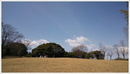 寒の戻り、堪えます。大分の桜はいつなのかな～_b0175688_21264598.jpg