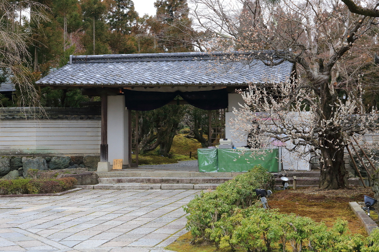 しょうざん庭園_e0051888_616239.jpg