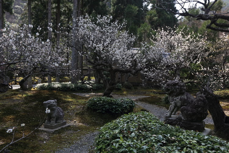 しょうざん庭園_e0051888_6163835.jpg