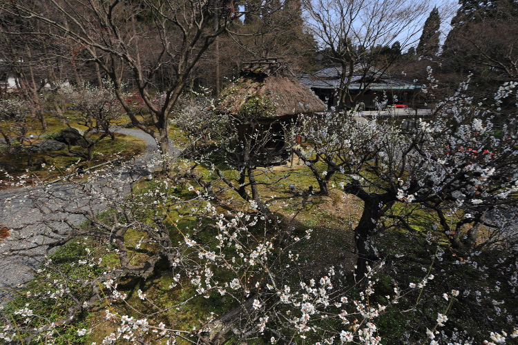 しょうざん庭園_e0051888_6173494.jpg