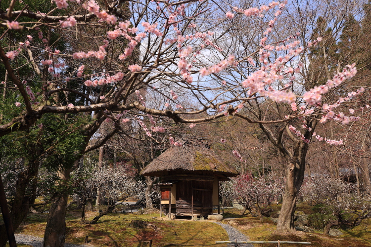 しょうざん庭園_e0051888_617544.jpg