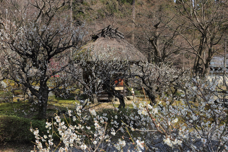 しょうざん庭園_e0051888_6184012.jpg