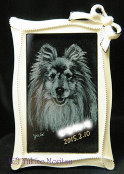 【新作準備中♪】ガラスのペット肖像画（柴犬ポストカードも）_f0062790_15341103.jpg