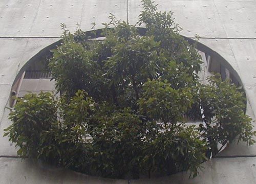 ●○は○か、その２０_d0053294_125337.jpg