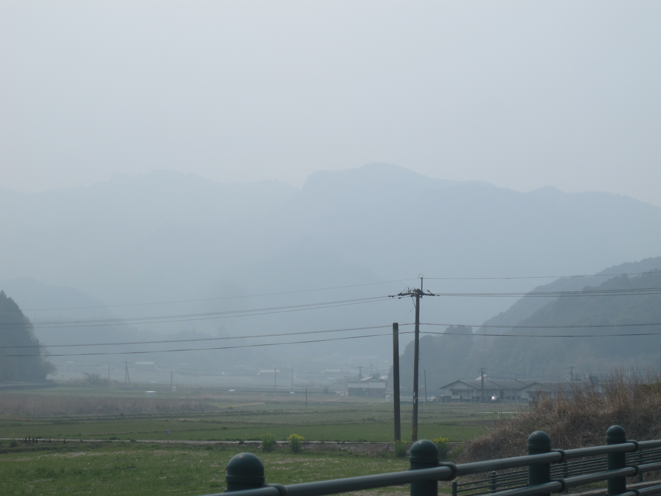 田原山の玄海ツツジはどこだ　2015.3.22（日）_a0166196_1652261.jpg