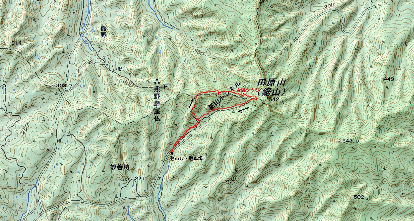 田原山の玄海ツツジはどこだ　2015.3.22（日）_a0166196_17114378.jpg