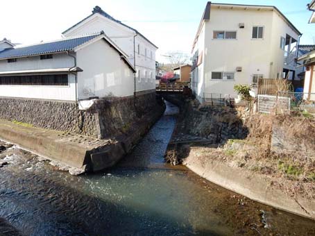 春の気配あちこち_f0014205_9525758.jpg