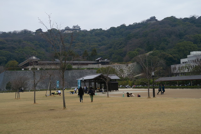 a0210108_23372326.jpg