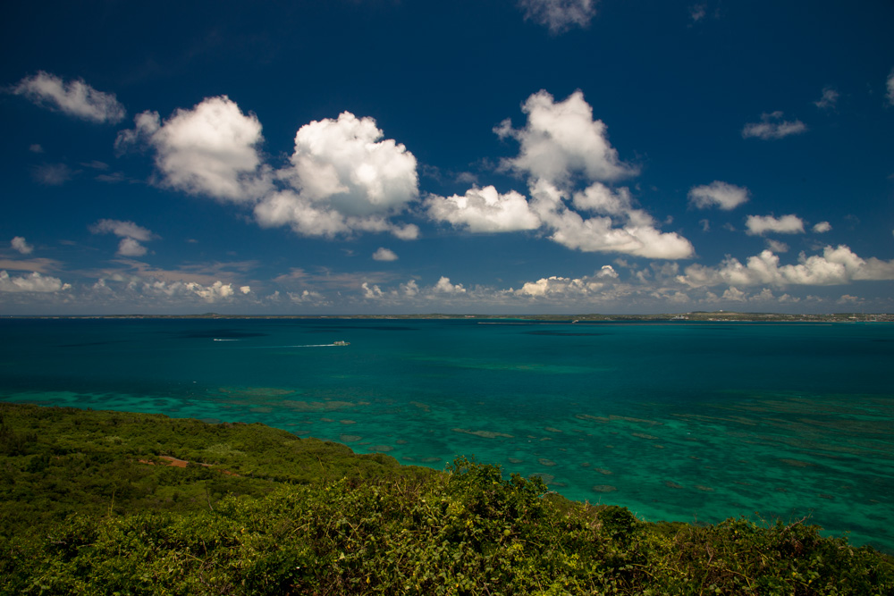 e0004009_233112.jpg