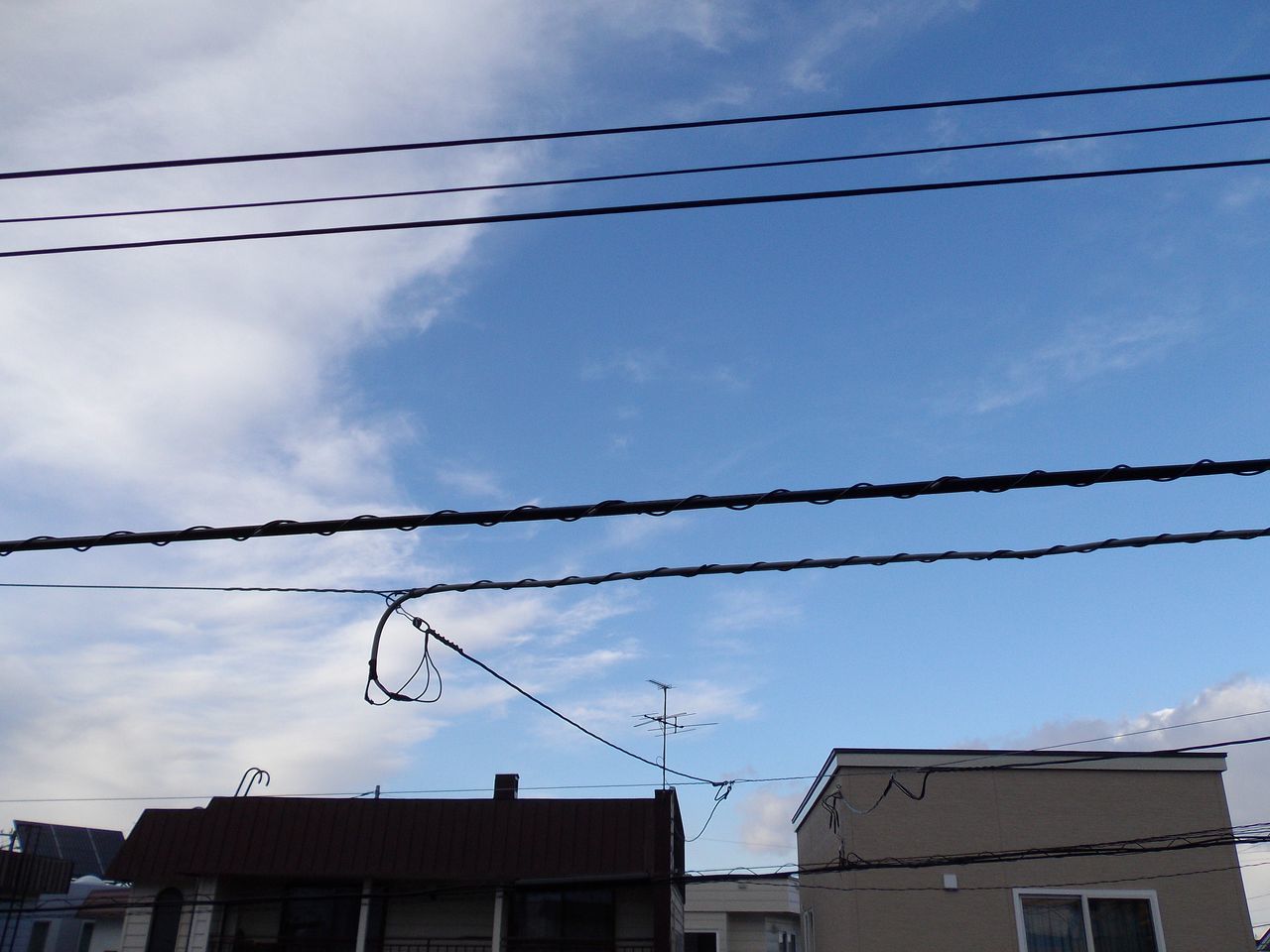 寒さの戻り_c0025115_21110718.jpg