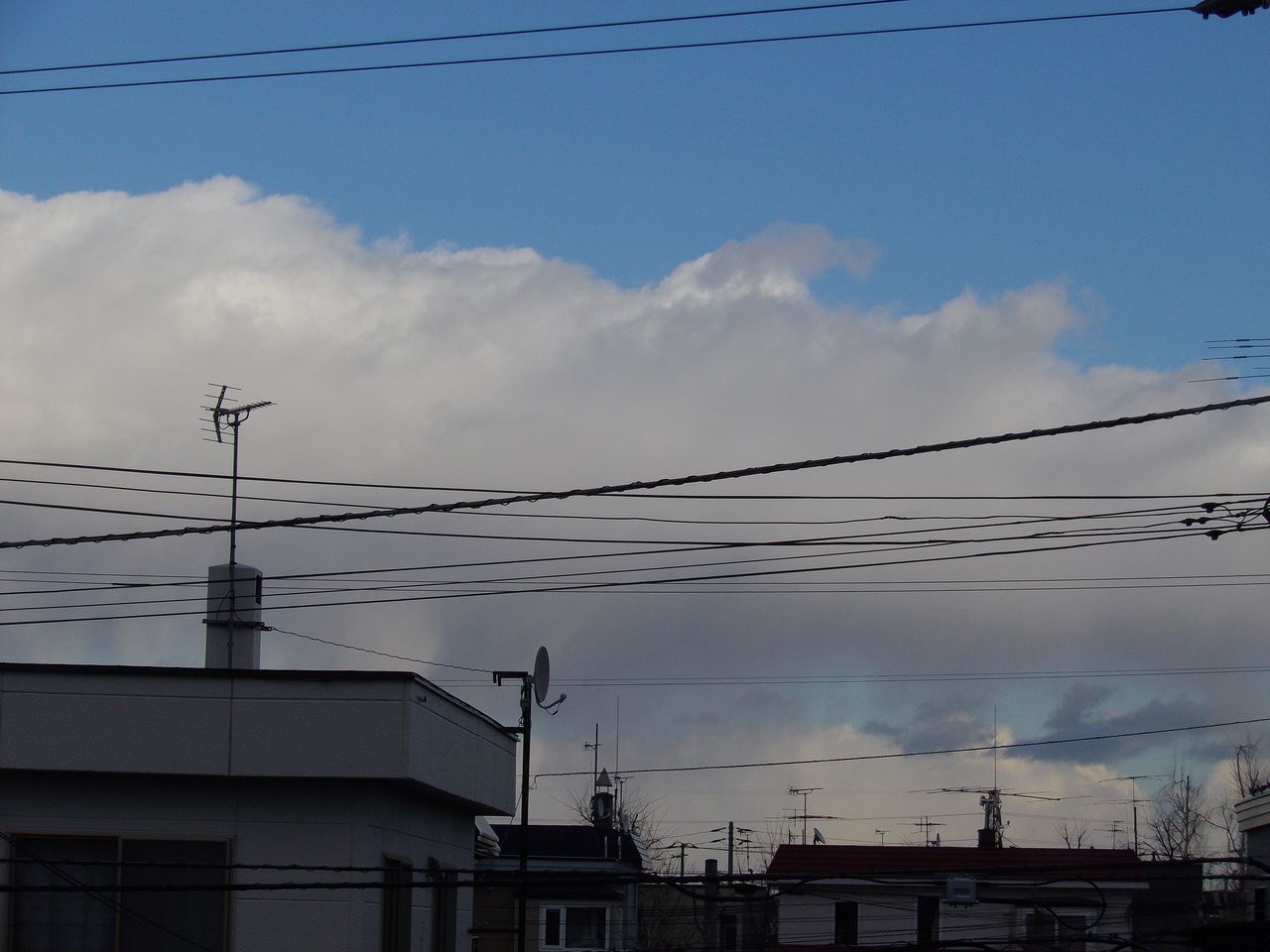 寒さの戻り_c0025115_21115645.jpg