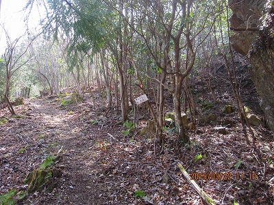 f0193521_17531555.jpg