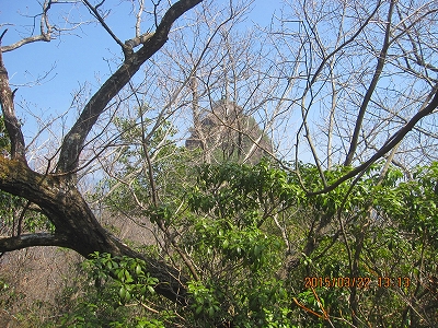 f0193521_18214064.jpg