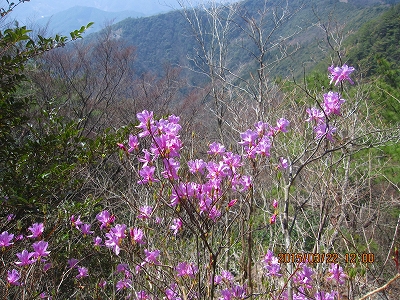 f0193521_1855923.jpg