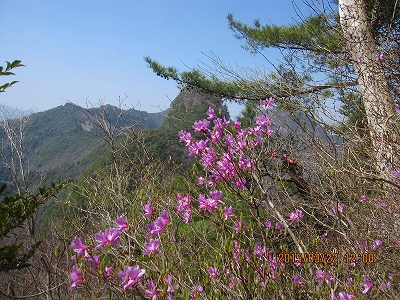 f0193521_1862312.jpg