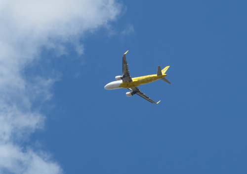 f0147025_1901446.jpg