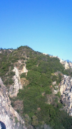 b0279129_1318999.jpg