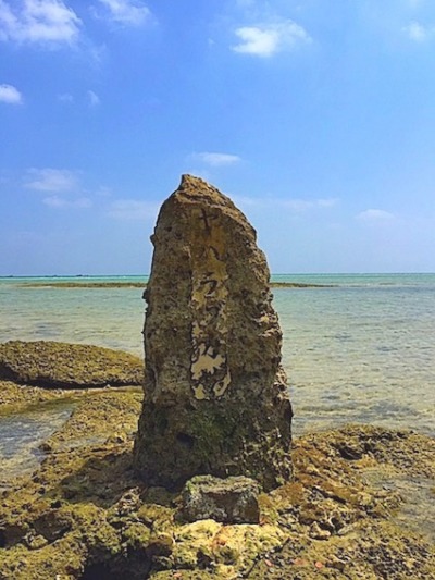稲作と龍神 2⃣ 琉球の大水田地帯_a0300530_7311927.jpg