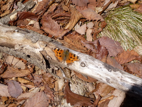 f0304030_02145.jpg