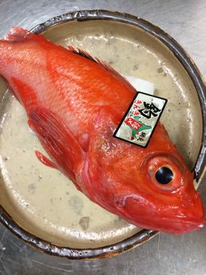 15 網走の釣りキンキ 根津松本 番長 鈴木勇治による 魚の美学