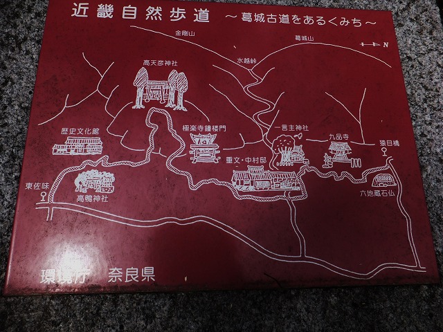 d0048350_16455368.jpg