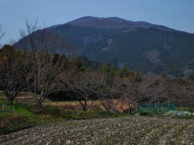 d0048350_16462317.jpg