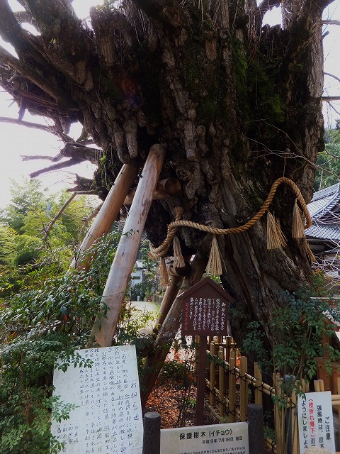 d0048350_164689.jpg