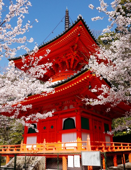　　和歌山便り_b0093754_15232460.jpg