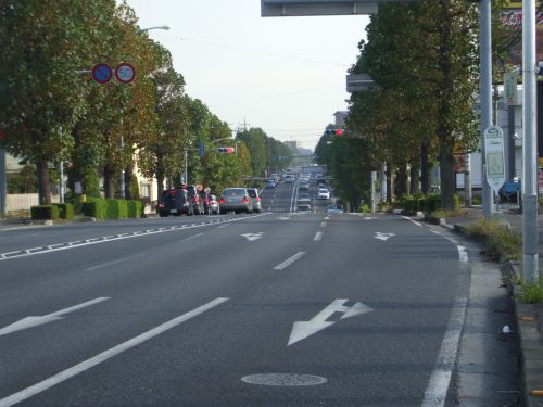 b0206463_9524674.jpg