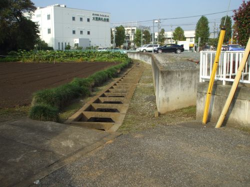 b0206463_9542742.jpg