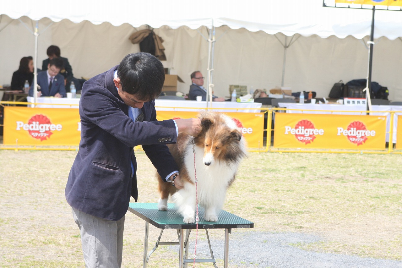 北関東インターお写真ありがとう_f0126965_21343994.jpg