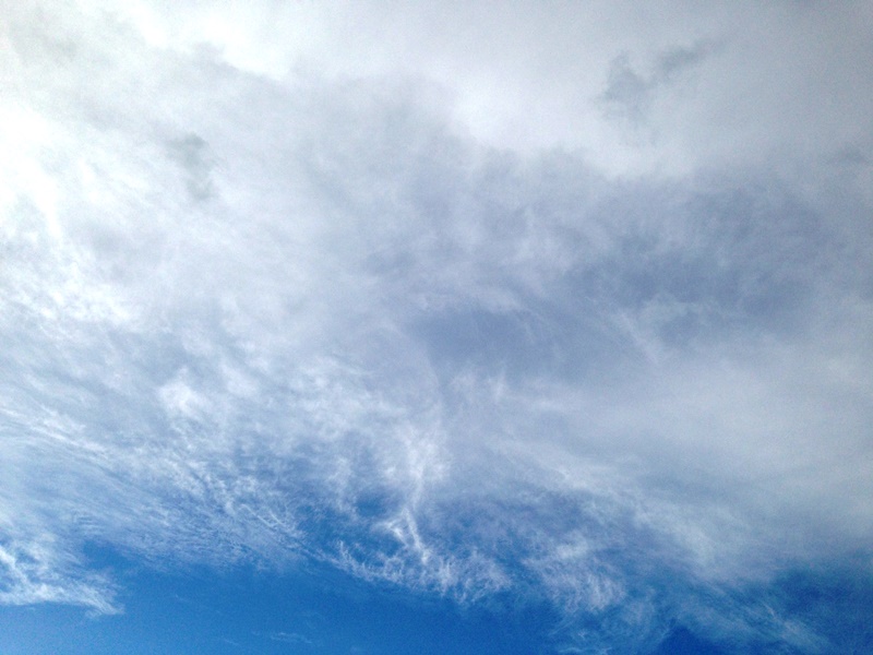 a0261573_21593943.jpg