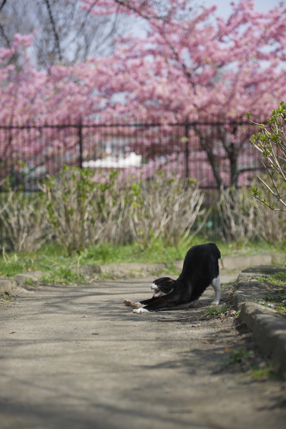 緑色は癒し効果あり_f0011273_1322464.jpg