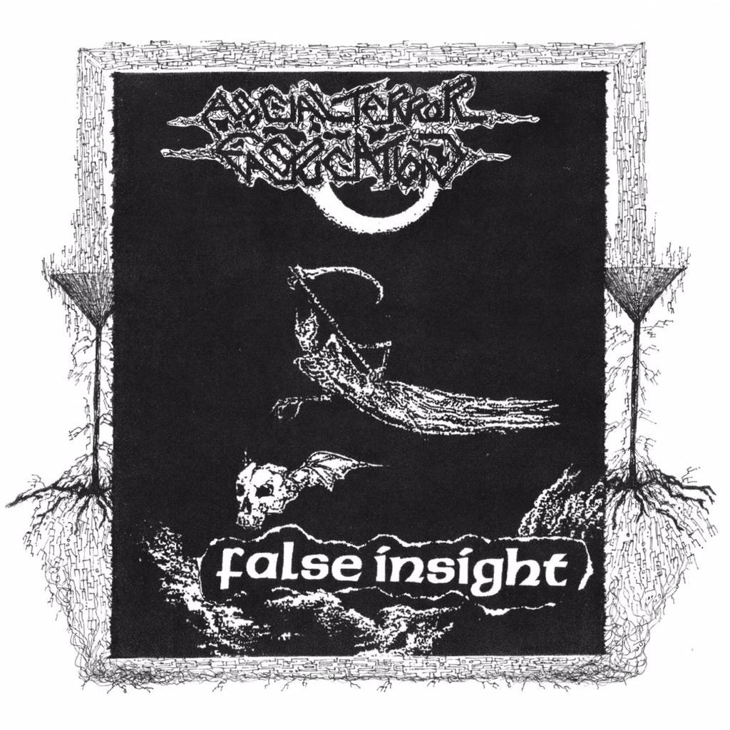 ASOCIAL TERROR FABRICATION, FALSE INSIGHT / split_d0246877_1204379.jpg