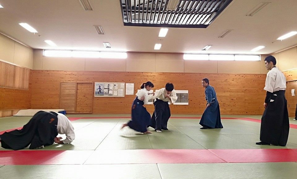 大東流、兵法二天一流 平成二七年三月第二週、第三週稽古_b0005281_19502631.jpg