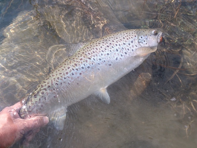 c0157482_10363676.jpg