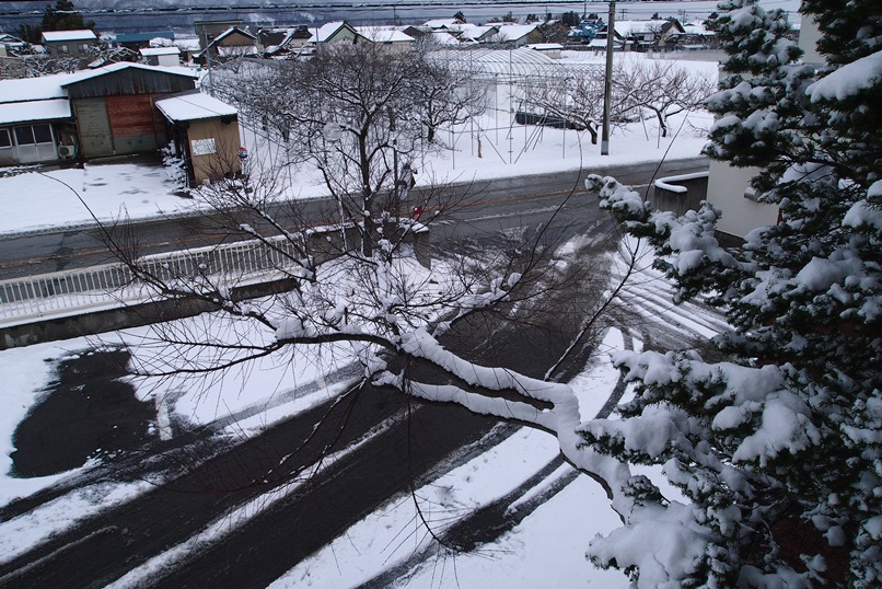 彼岸の雪_f0174989_8154888.jpg