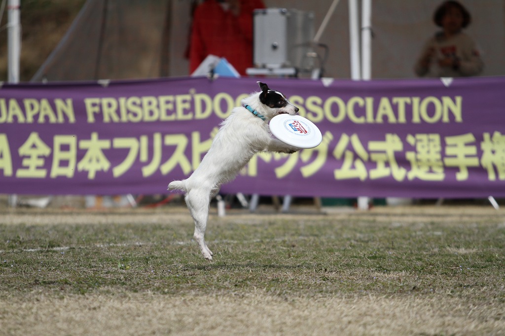 ぽかぽかの南アルプス大会_a0090292_21432687.jpg