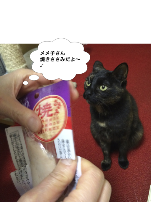 f0305995_16365916.png